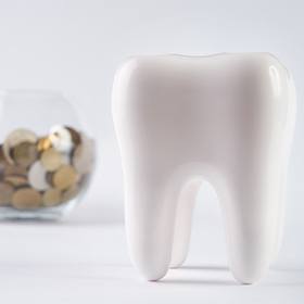 Tooth model and bowl filled with coins